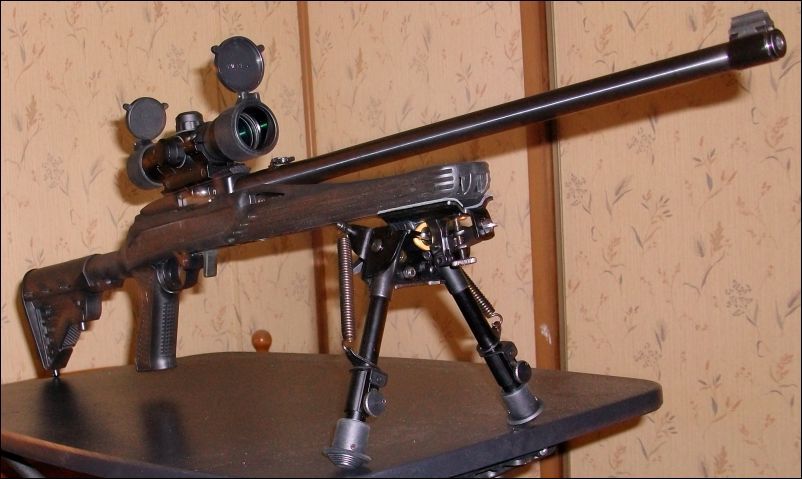 bipod for ruger 10/22
