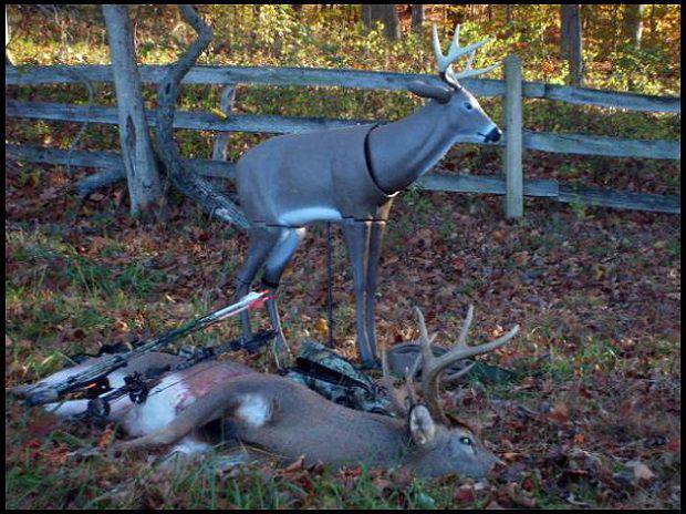 Primos Scareface Deer Decoy Review