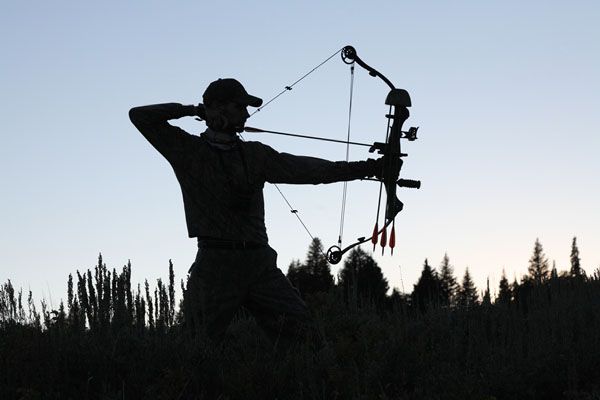 bowhunting a deer with decoy