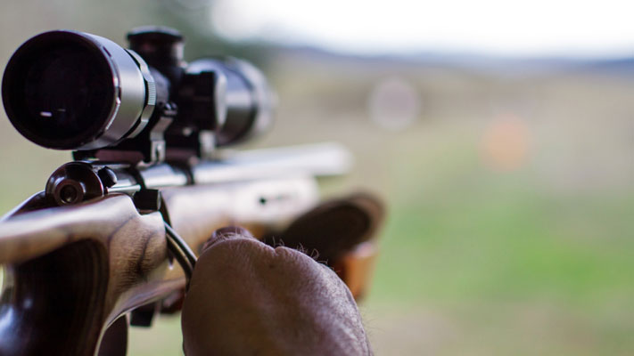 best shooting sticks review