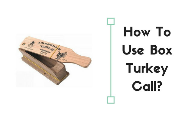 how to use box turkey call