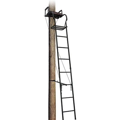 Big Dog Foxhound Ladder Treestand