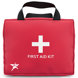 Premium Quality First Aid Kit - 101 piece- Essential for Maximum Survival and Safety