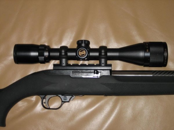 best scope for ruger 10/22