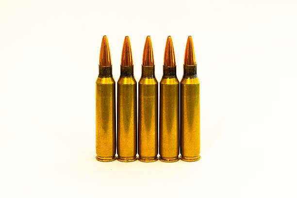 223 remington