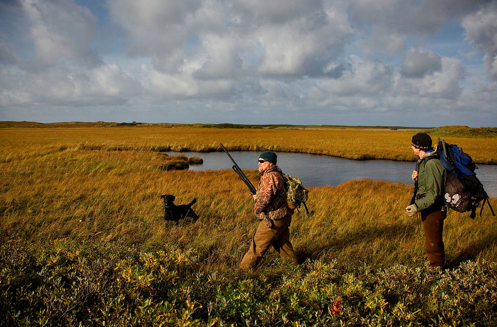 men doing duck hunting on the field
