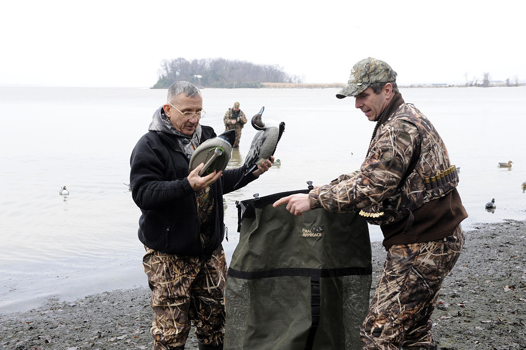 duck decoys