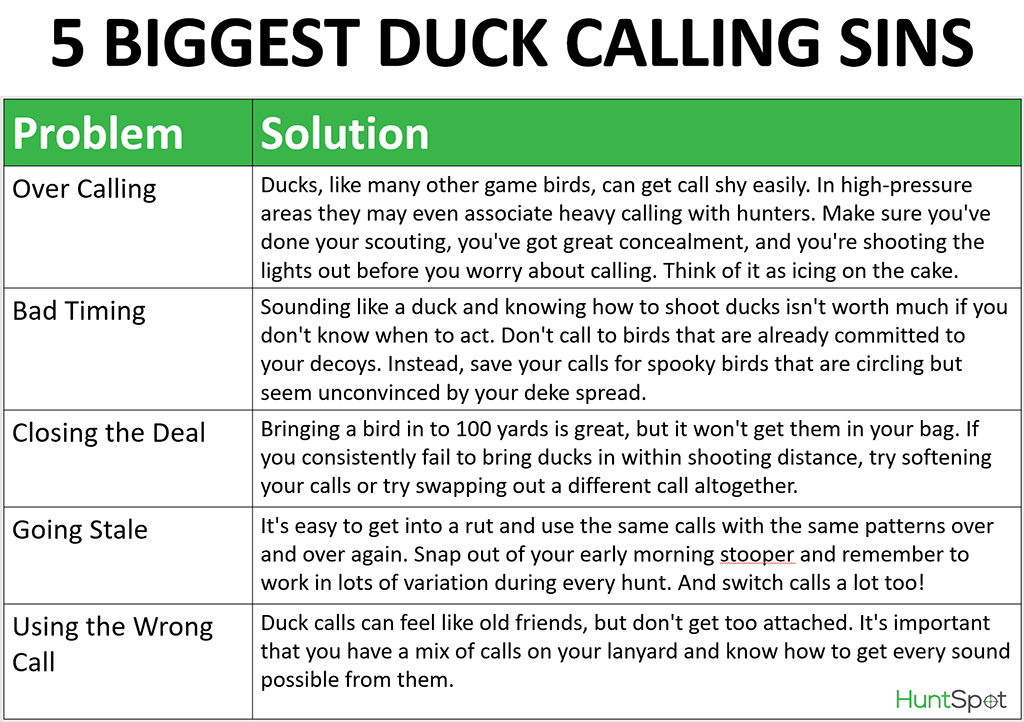 duck calling mistake infographic