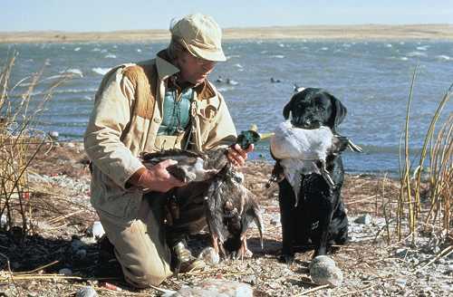 Hunter beside a blue lake with hunting dog and ducks