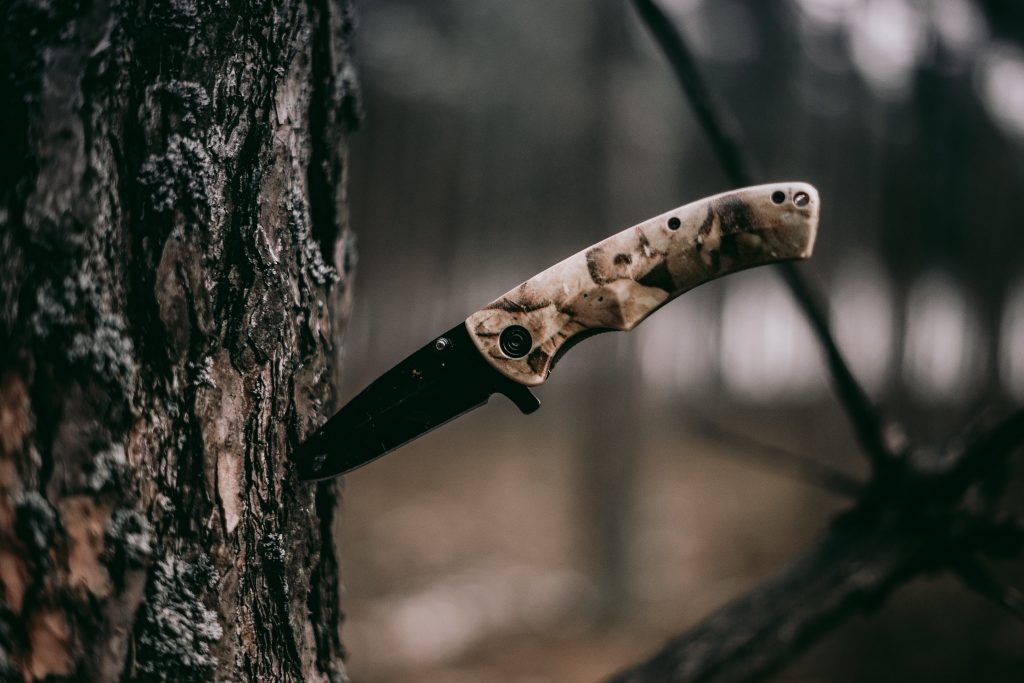 a hunting knife stuck on a trunk of a tree