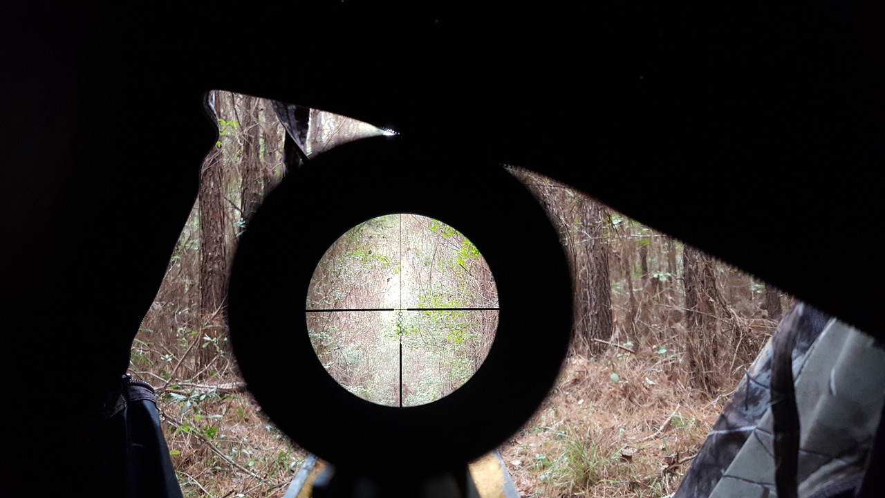 Clear target view inside rifle scope