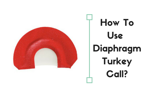 how to use diaphragm turkey call
