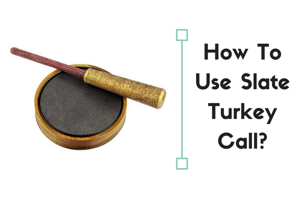 how to use slate turkey call